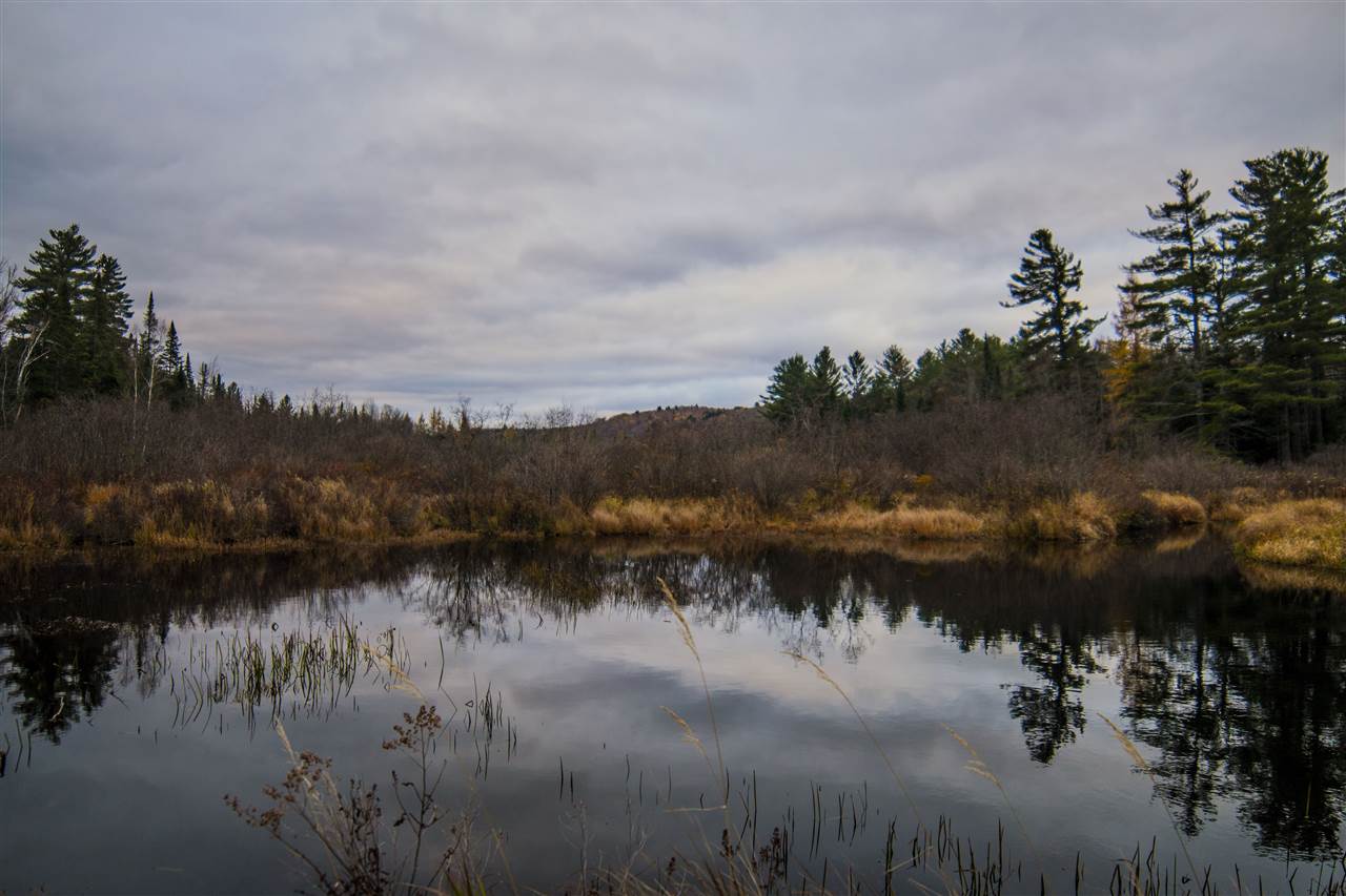 461 Muzzy Hill Road Milan, NH 03588 - Photo 4 of 23