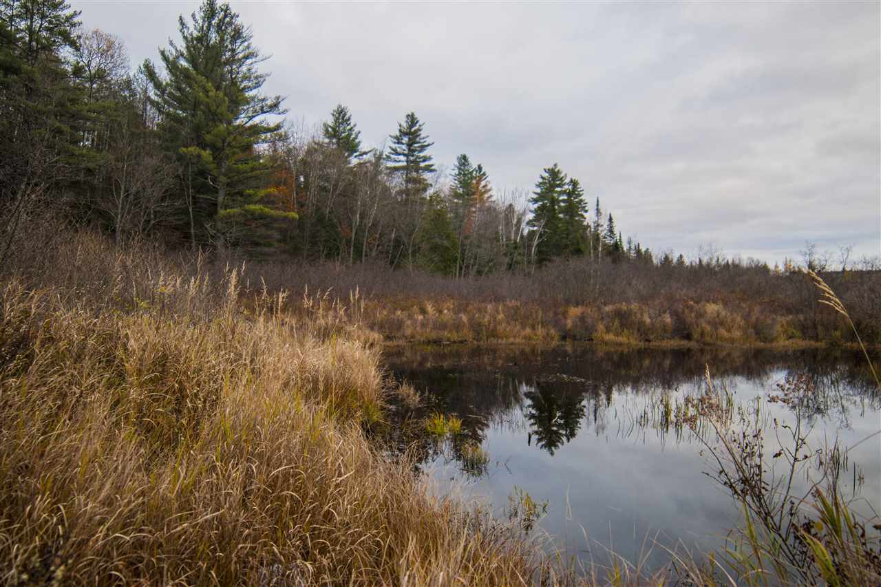 461 Muzzy Hill Road Milan, NH 03588 - Photo 5 of 23