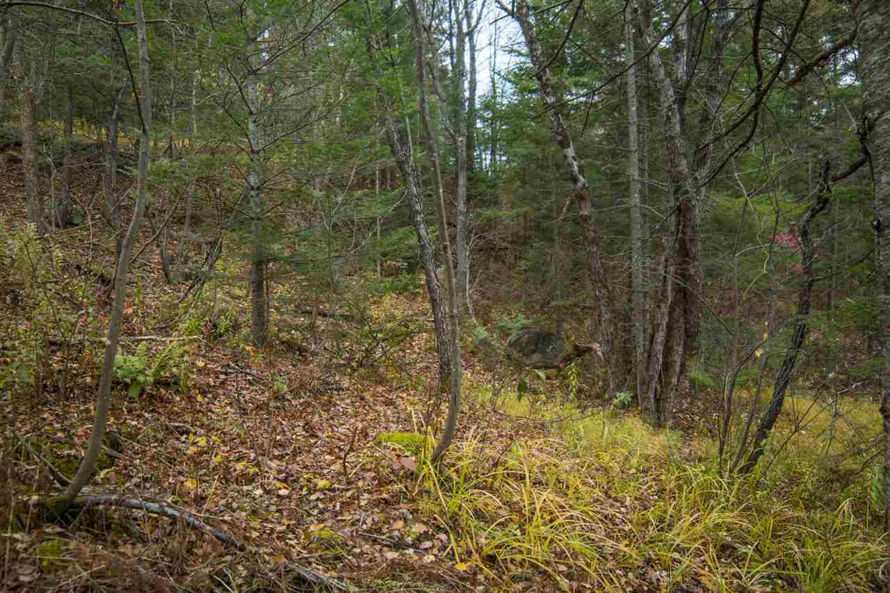 461 Muzzy Hill Road Milan, NH 03588 - Photo 6 of 23