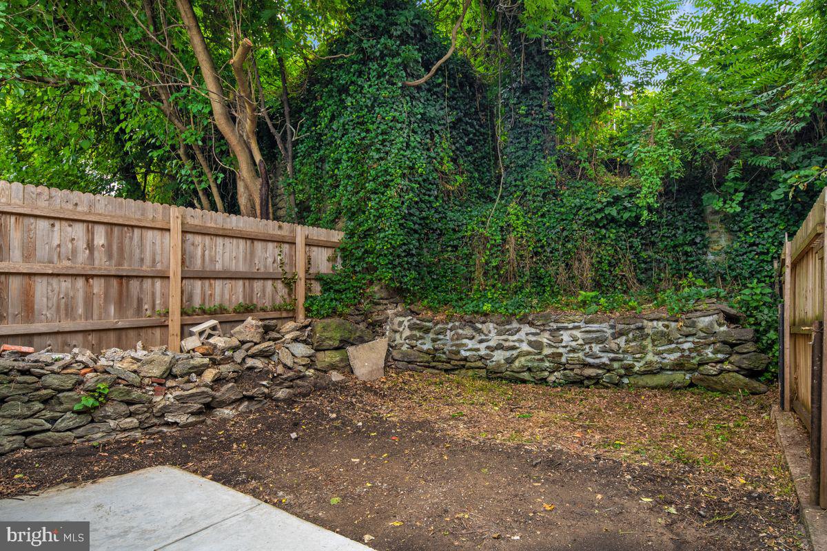 4129 Terrace Street Philadelphia, PA 19128 - Photo 25 of 27 a view of a backyard with plants and trees