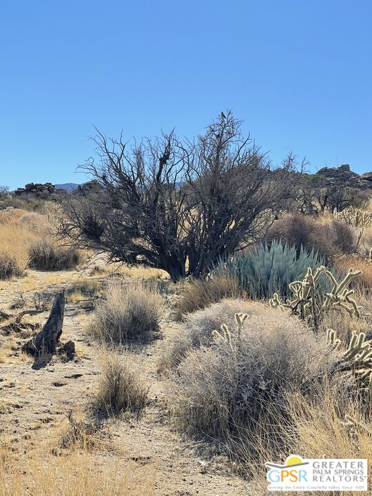 0 Star Shadow Road Mountain Center, CA 92561 - Photo 25 of 36 Gallery Image 25