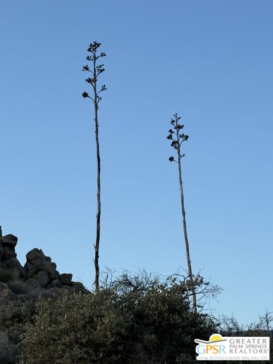 0 Star Shadow Road Mountain Center, CA 92561 - Photo 33 of 36 Gallery Image 33