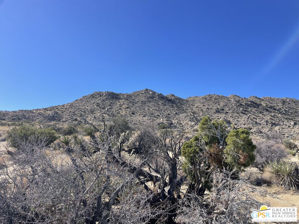 0 Star Shadow Road Mountain Center, CA 92561 - Photo 8 of 36 Gallery Image 8