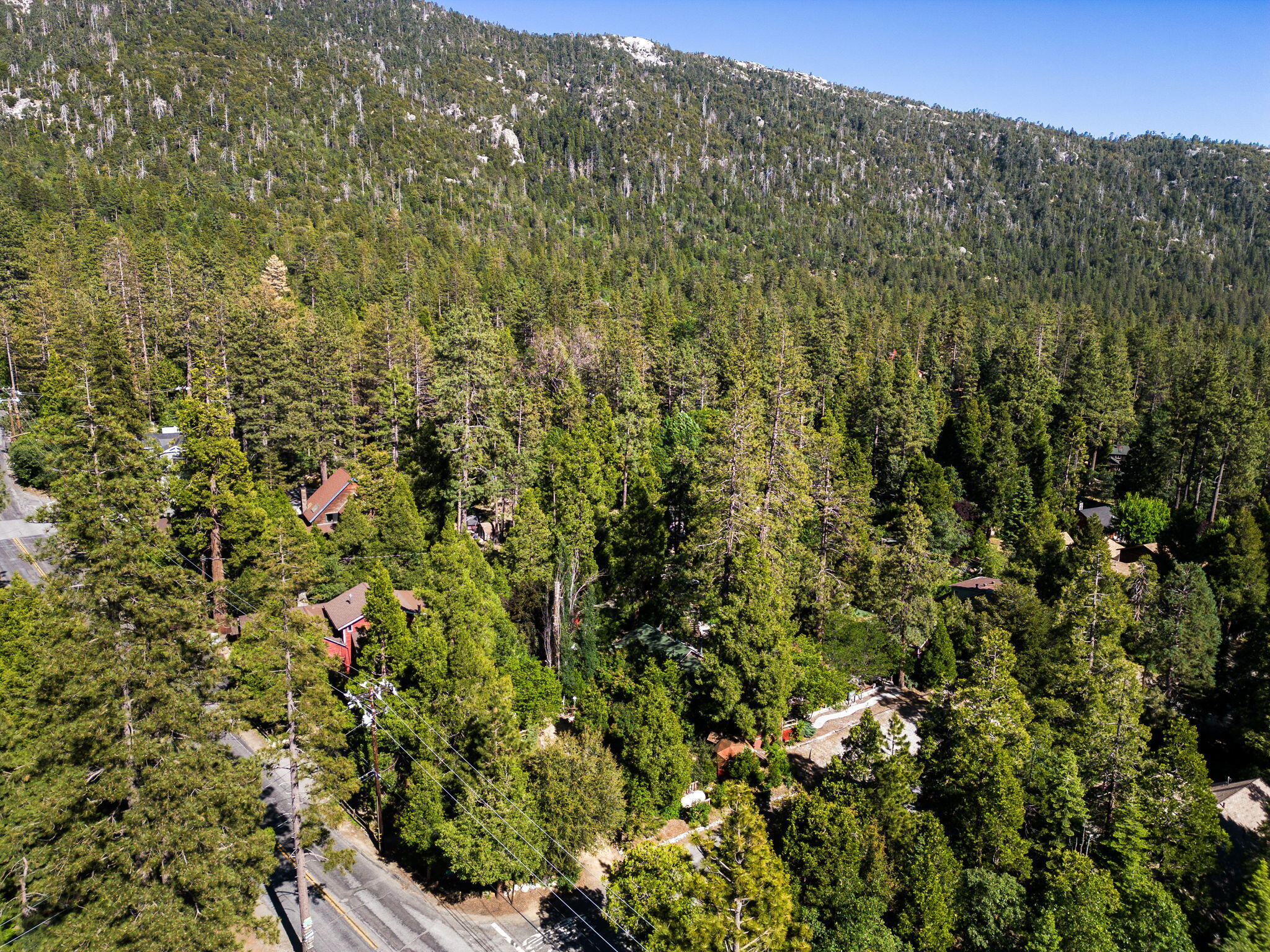25210 Fern Valley Road Idyllwild, CA 92549 - Photo 116 of 127 116-web-or-mls-25210-fern-valley-rd