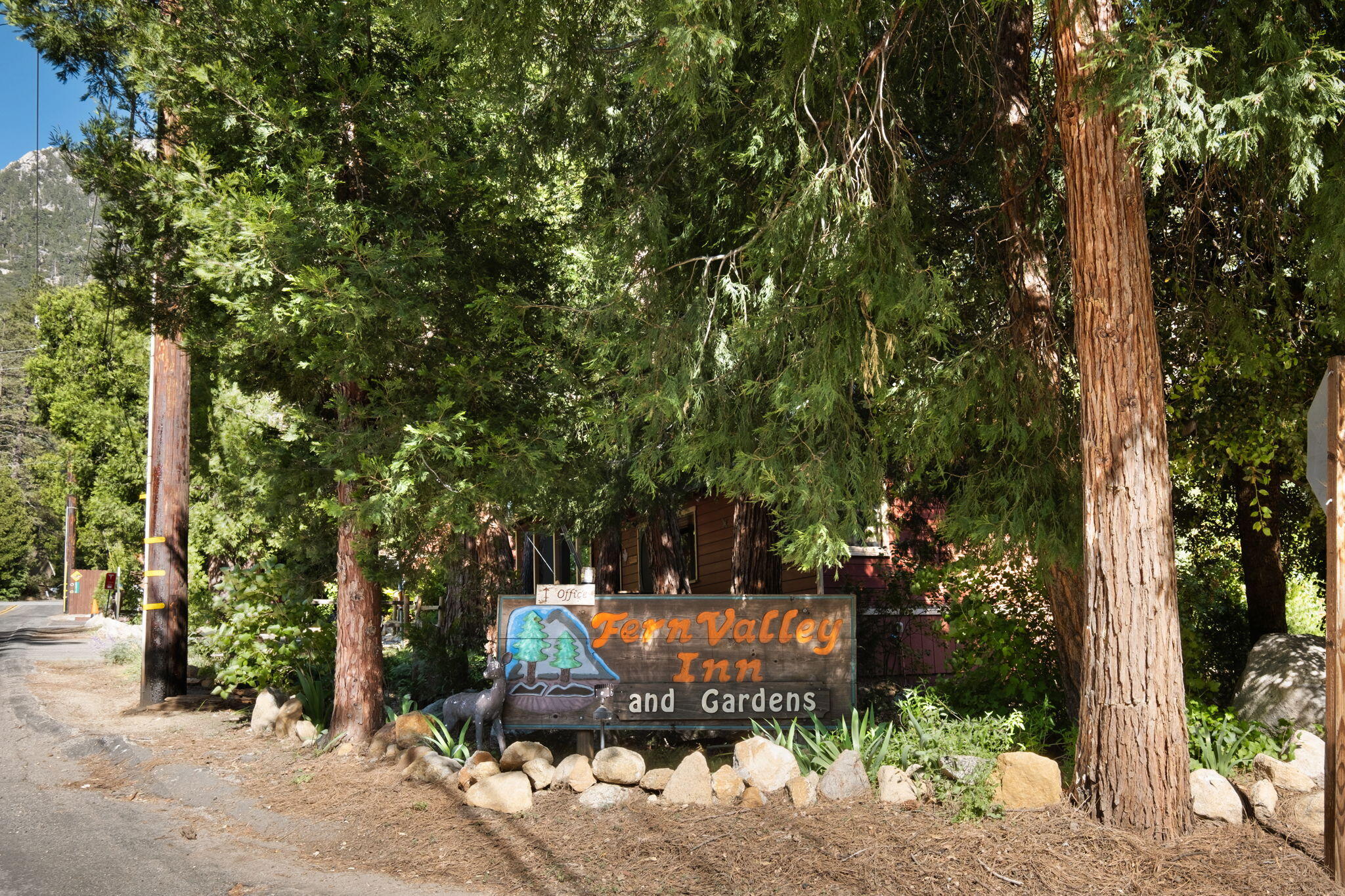25210 Fern Valley Road Idyllwild, CA 92549 - Photo 15 of 127 15-web-or-mls-25210-fern-valley-rd