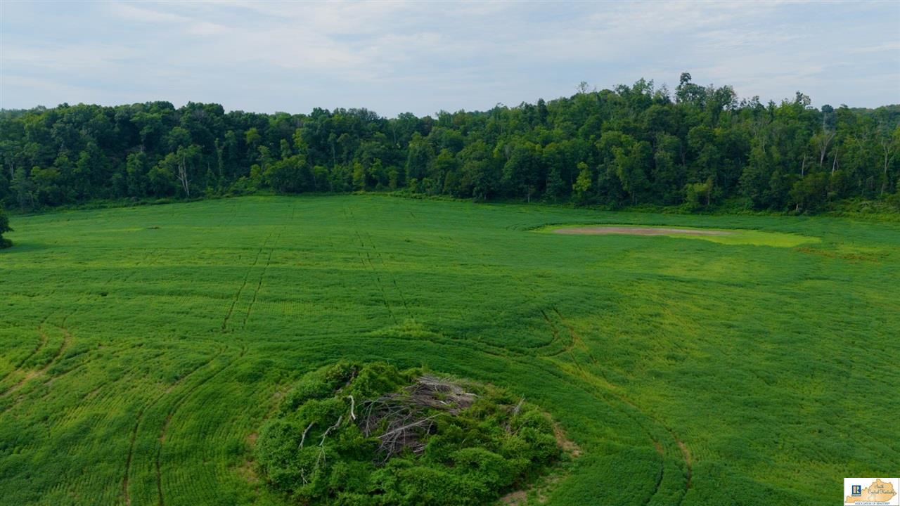 200 Scott-Marcum Road Summersville, KY 42782 - Photo 4 of 70 Gallery Image 4