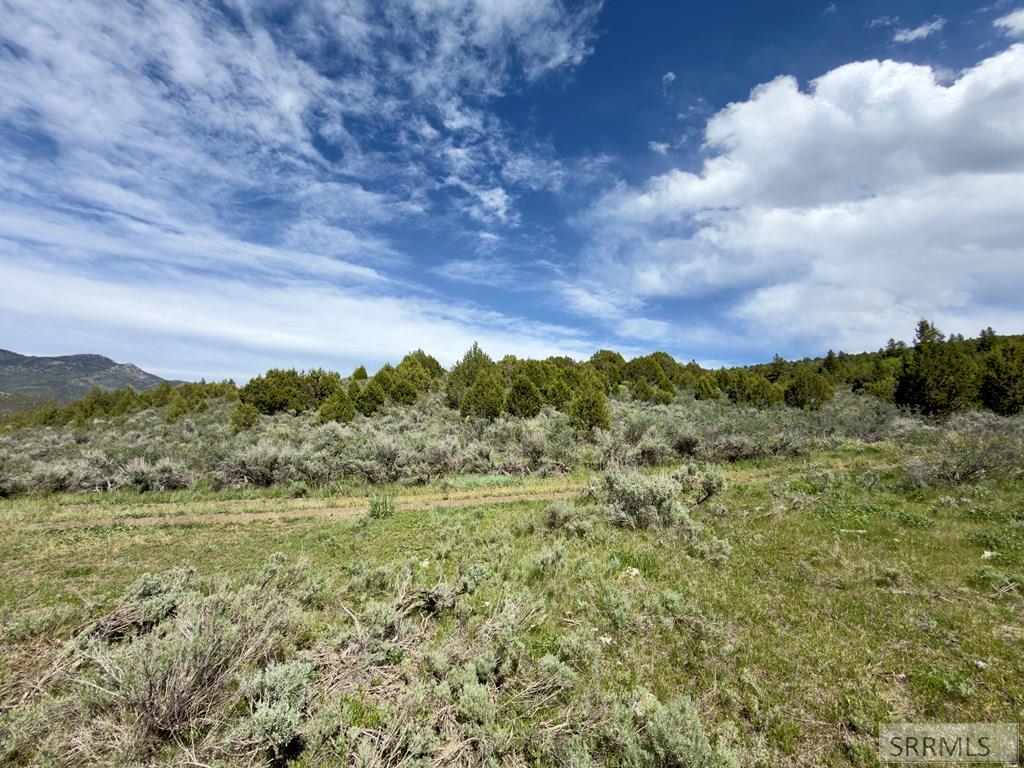 Tbd Fish Creek Road Lava Hot Springs, ID 83246 - Photo 27 of 44