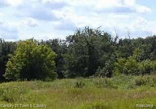 0 Hosner Road West Metamora, MI 48455 - Photo 1 of 1 Listing Image