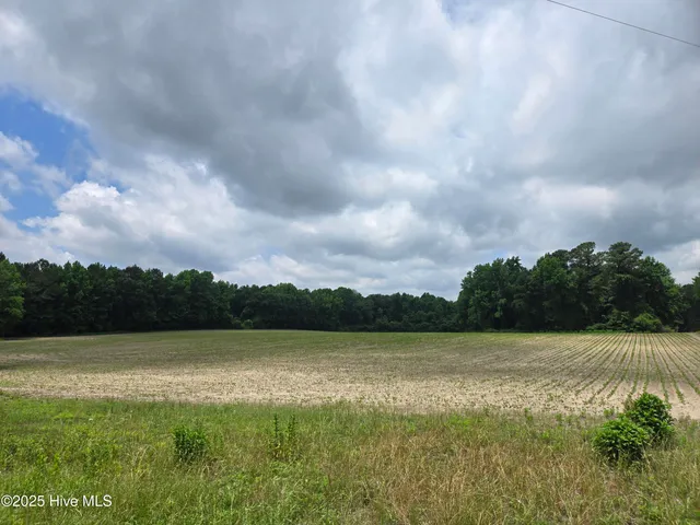 $305,000 | 0 Ballard Road, Williamston, NC 27892