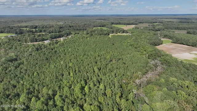 $305,000 | 0 Ballard Road, Williamston, NC 27892