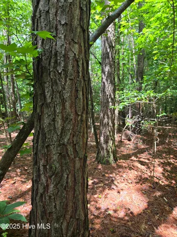 $305,000 | 0 Ballard Road, Williamston, NC 27892