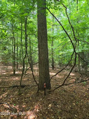 $305,000 | 0 Ballard Road, Williamston, NC 27892