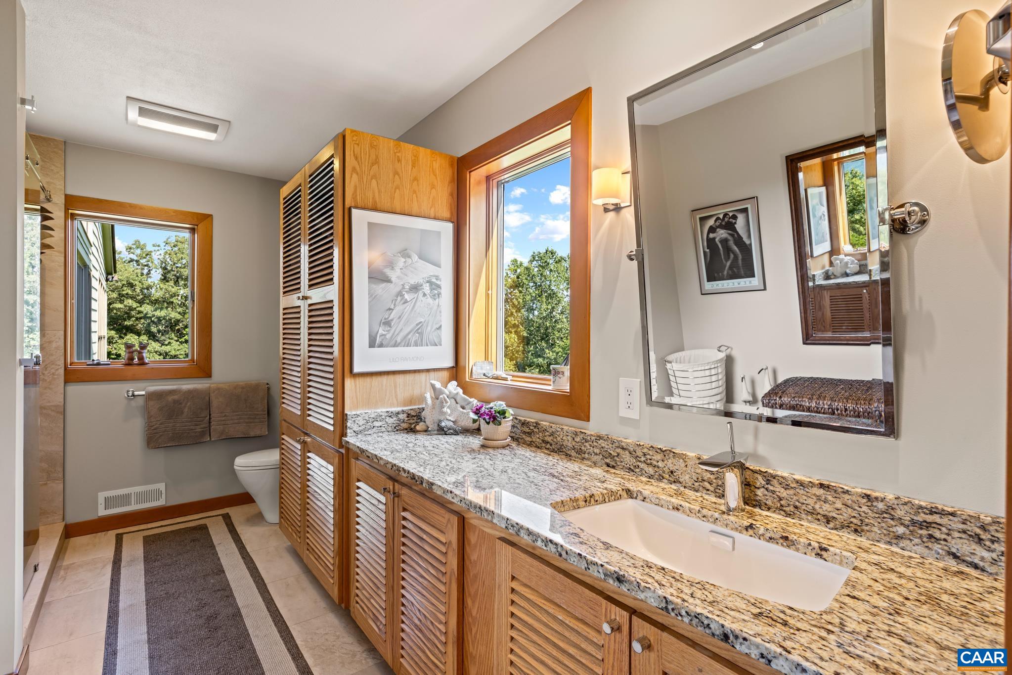 456 Roberts Mountain Road Faber, VA 22938 - Photo 36 of 59 a bathroom with a granite countertop sink and a large mirror