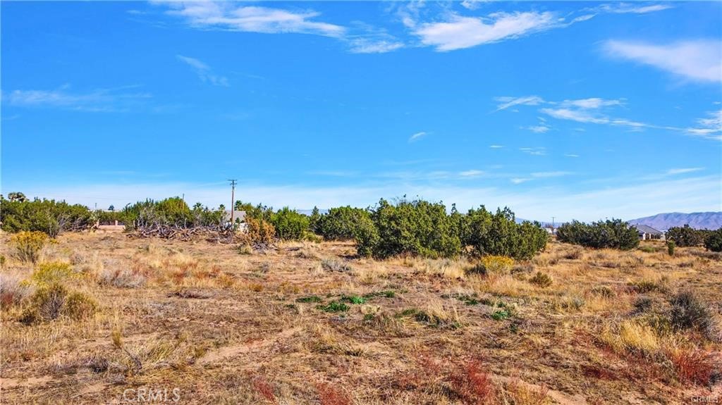 0 El Centro Road Oak Hills, CA 92344 - Photo 8 of 16 a view of a dry yard with wooden fence