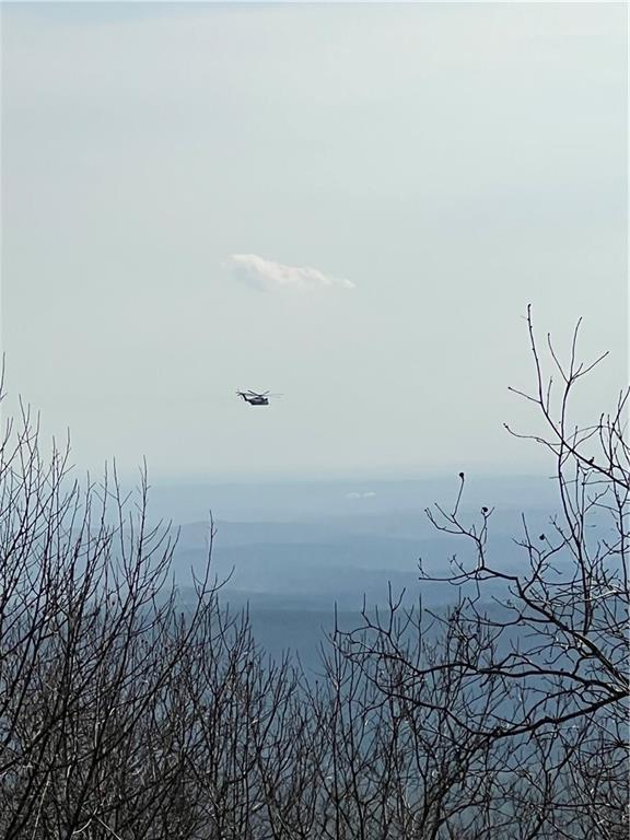 1911 Ridgeview Drive Jasper, GA 30143 - Photo 47 of 65 a view of bridge and trees covered with fog