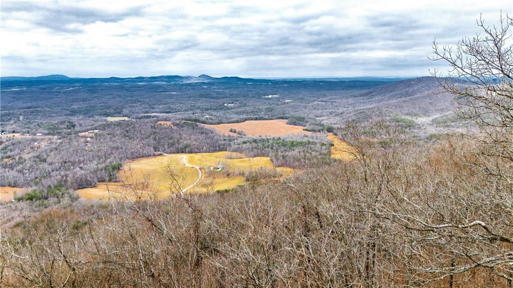 1911 Ridgeview Drive Jasper, GA 30143 - Photo 50 of 65