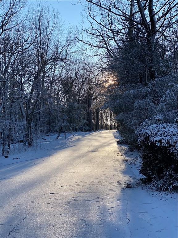 1911 Ridgeview Drive Jasper, GA 30143 - Photo 58 of 65