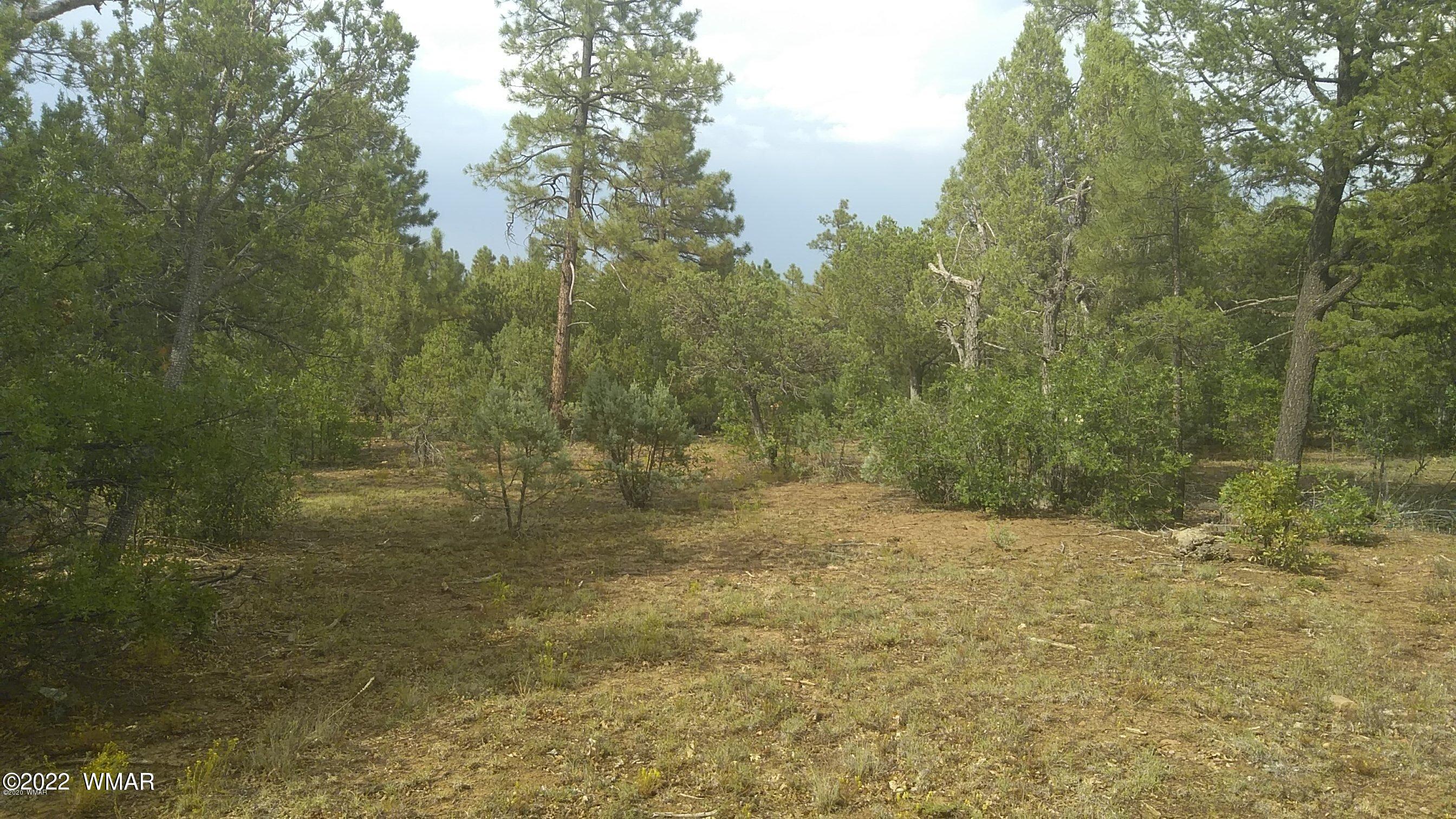 2960 West Blazingstar Road Show Low, AZ 85901 - Photo 1 of 1