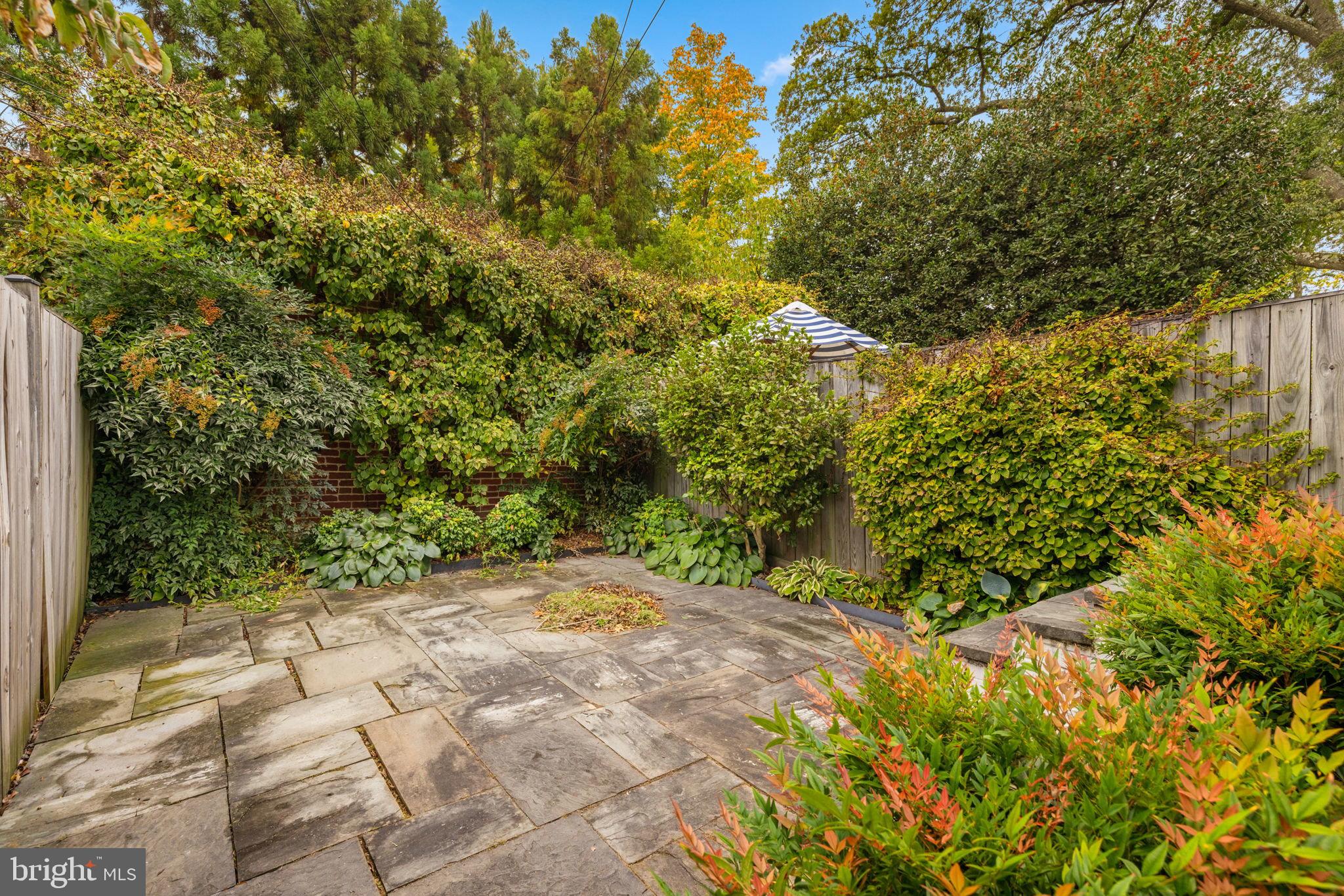 2908 R Street Northwest Washington, DC 20007 - Photo 12 of 12 Garden