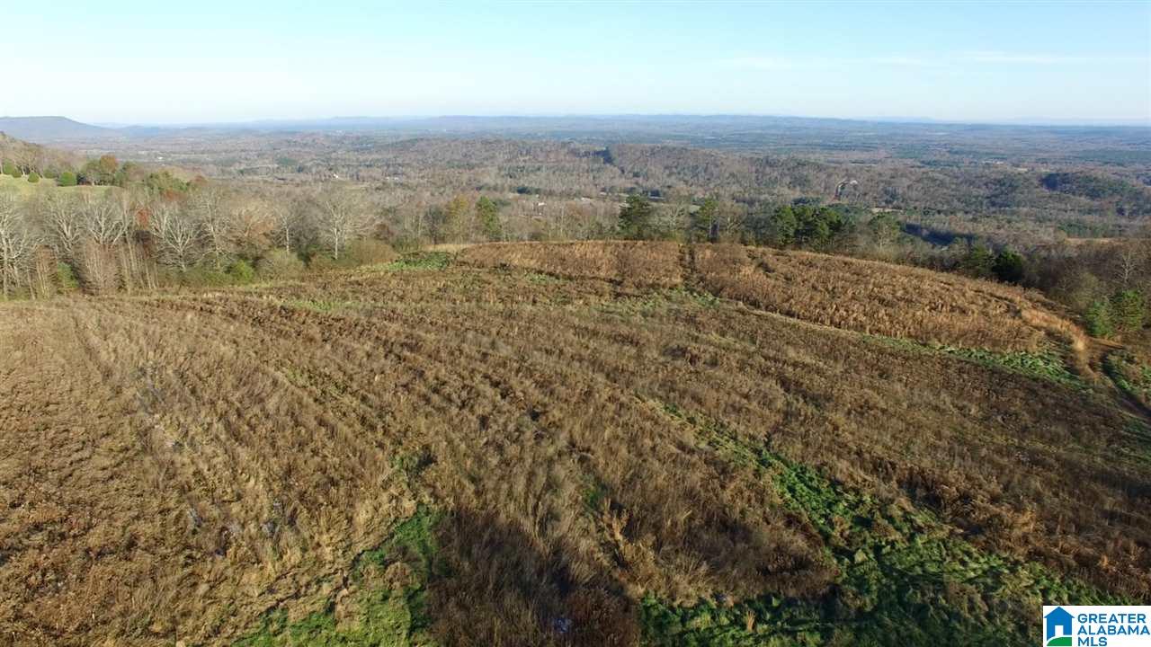 0 County Road 24, Unit 49 / ACRES Springville, AL 35146 - Photo 15 of 18