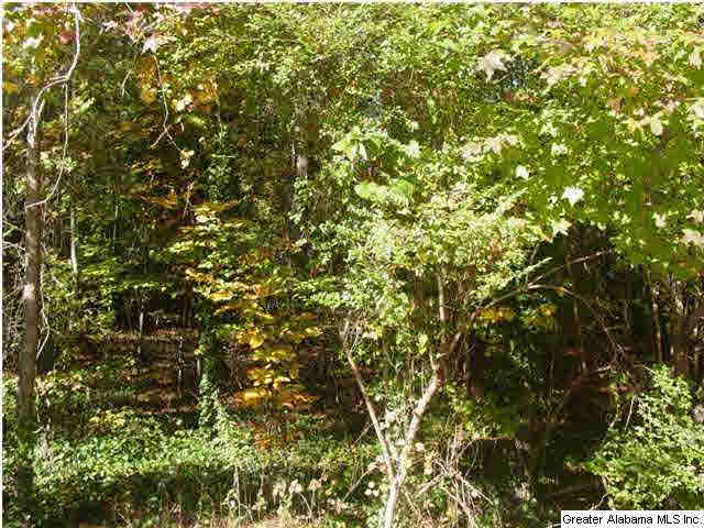 Old Choccolocco Road, Unit 73 Anniston, AL 36207 - Photo 20 of 30