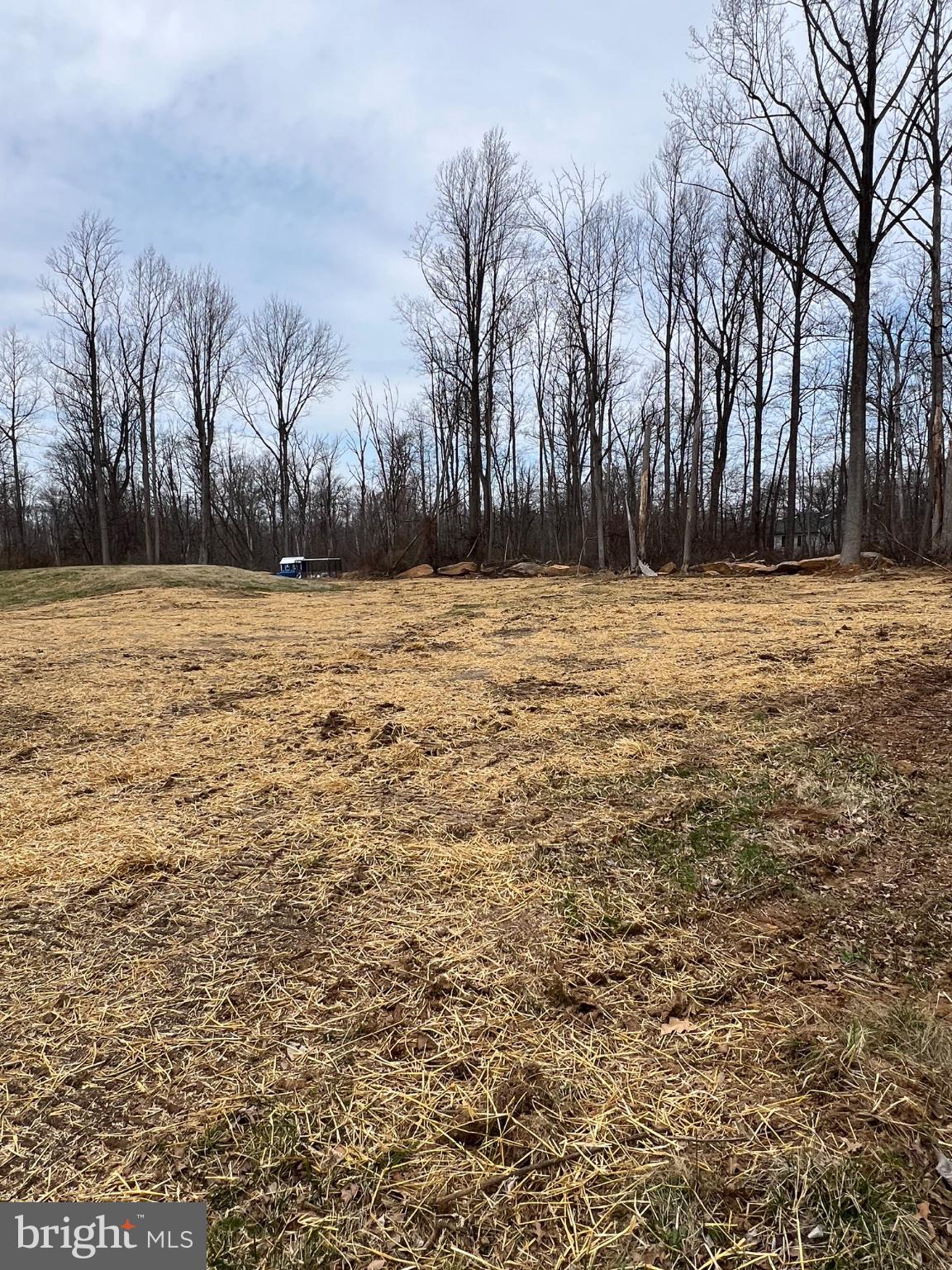 1347 East Thatcher Road Quakertown, PA 18951 - Photo 52 of 52 Serene landscape with bare trees.