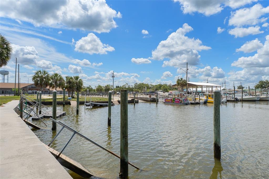 4178 Pine Dale Court Hernando Beach, FL 34607 - Photo 8 of 27