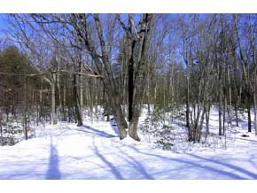 178 Old Dover Road Rochester, NH 03867 - Photo 3 of 3
