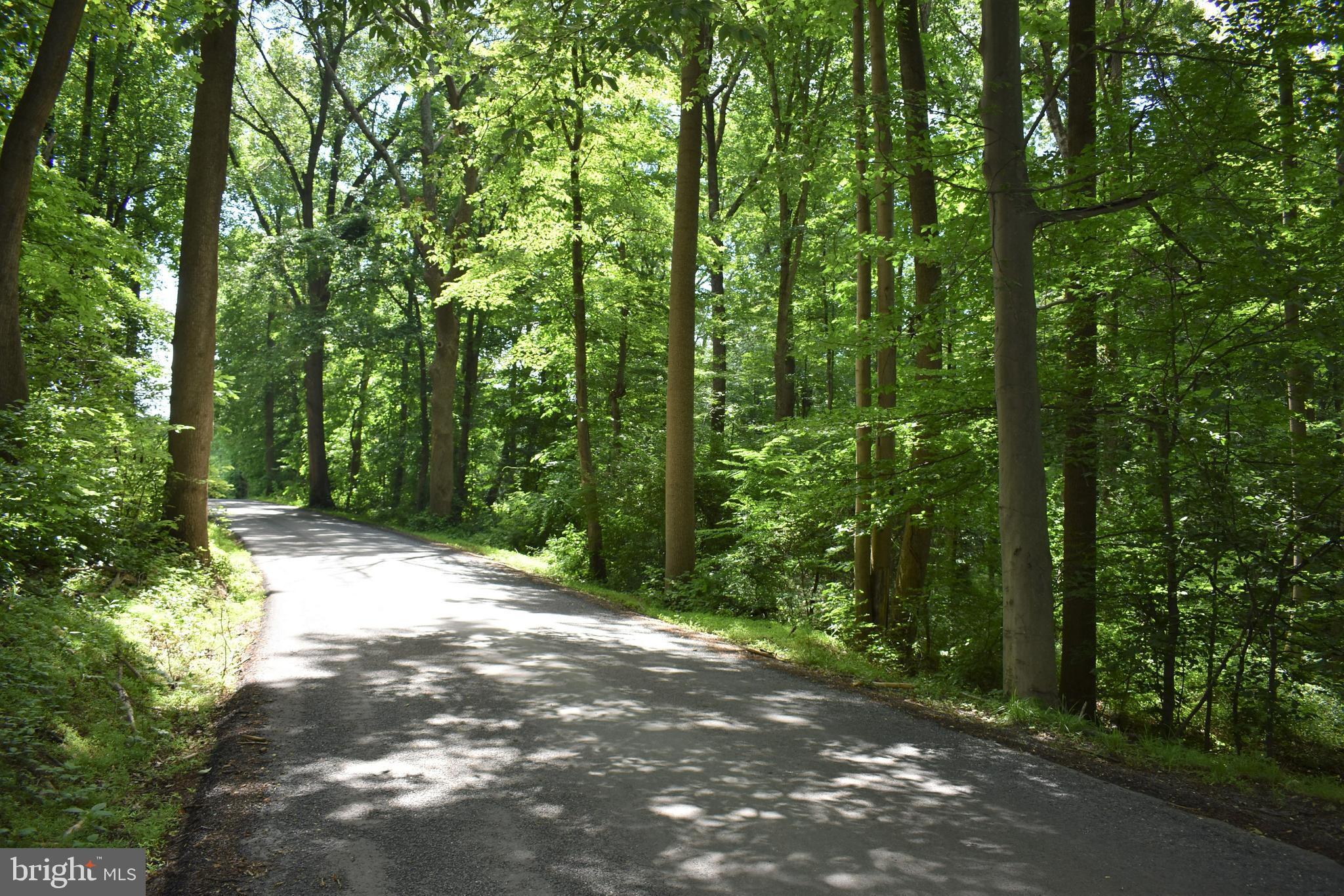 Gold Mine Road Frederick, MD 21703 - Photo 11 of 20 Gold Mine Road