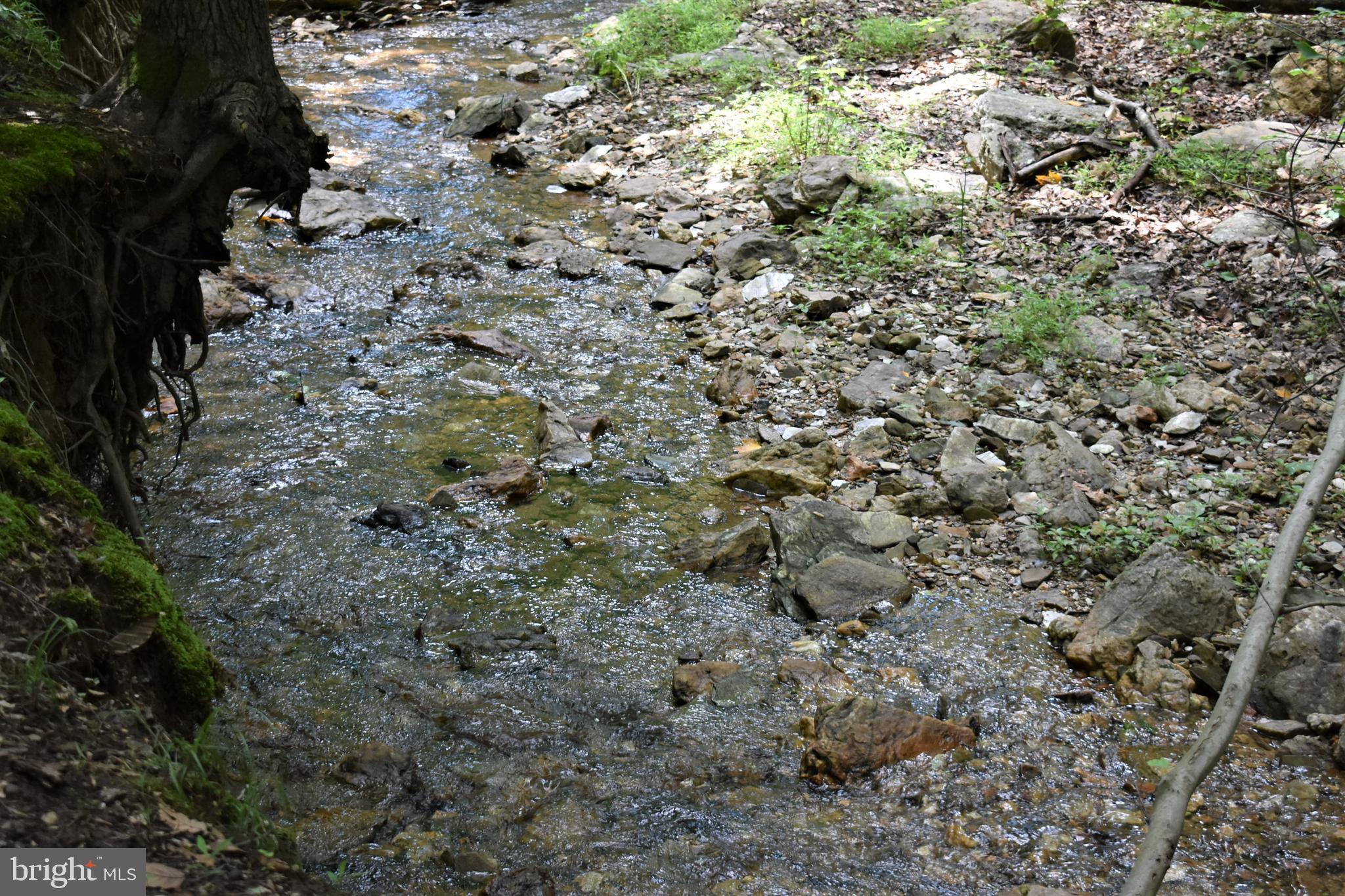 Gold Mine Road Frederick, MD 21703 - Photo 12 of 20 Explore your own creek