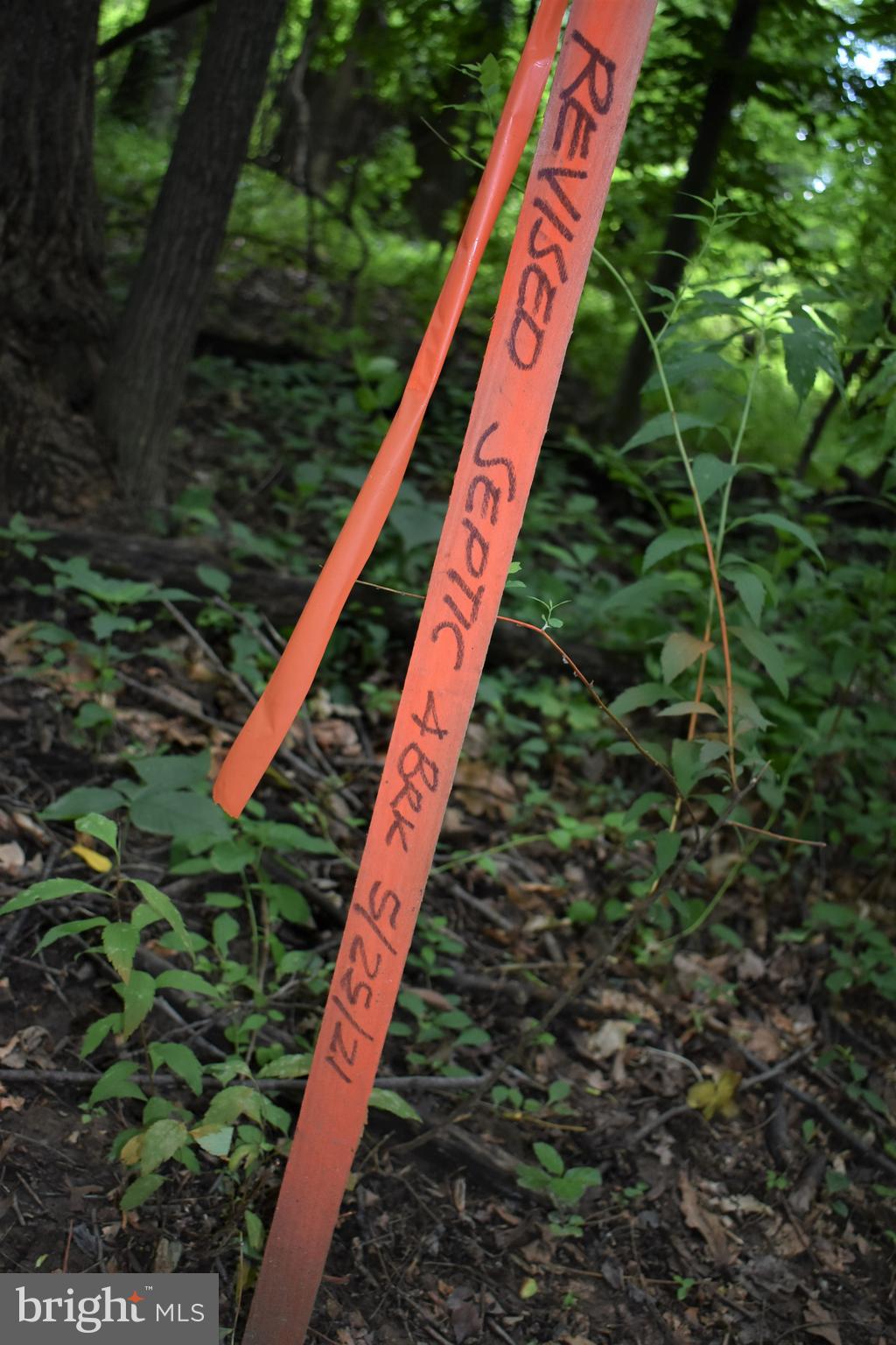 Gold Mine Road Frederick, MD 21703 - Photo 15 of 20 Septic corners are marked in Orange stakes