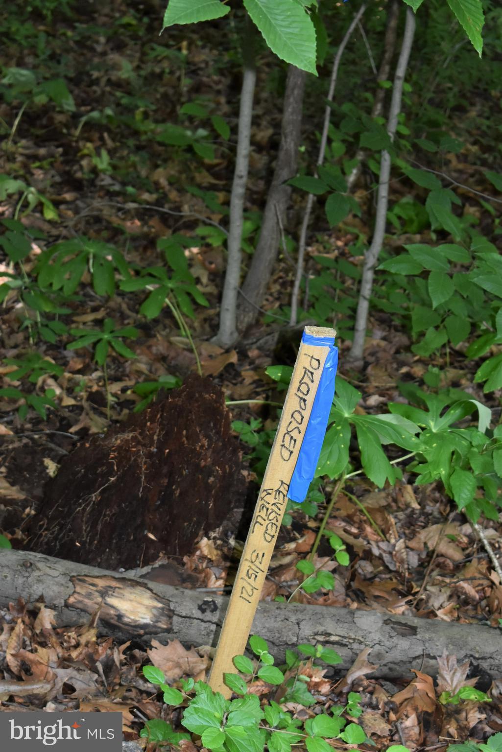 Gold Mine Road Frederick, MD 21703 - Photo 16 of 20 Proposed Well Location in front right of lot
