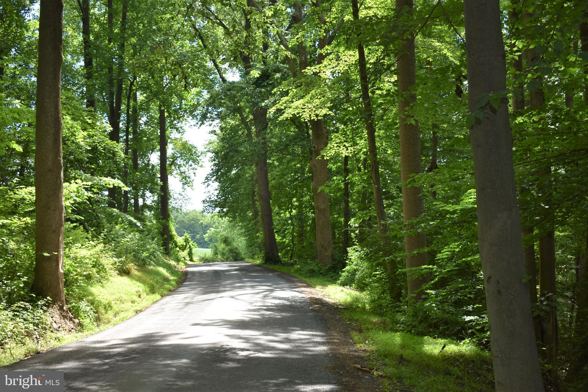 Gold Mine Road Frederick, MD 21703 - Photo 17 of 20 Country road take me home ...