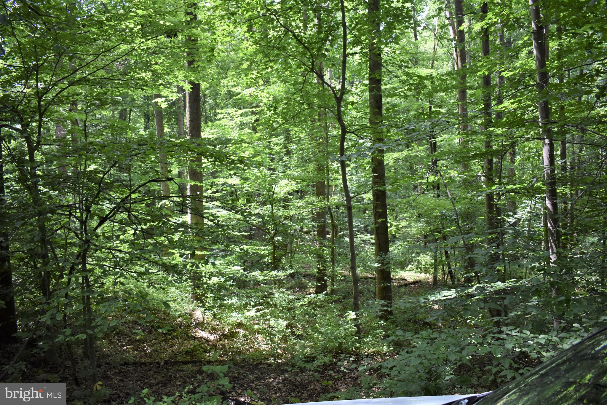 Gold Mine Road Frederick, MD 21703 - Photo 18 of 20 Enjoy 4 Seasons on your private 5 acre homesite