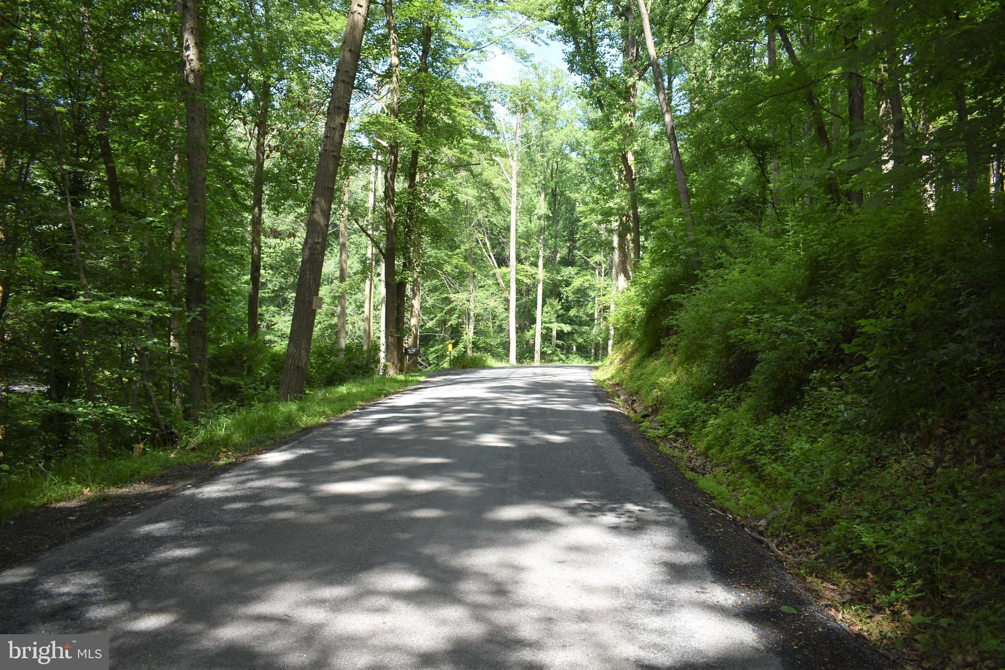Gold Mine Road Frederick, MD 21703 - Photo 19 of 20 Gorgeous back road