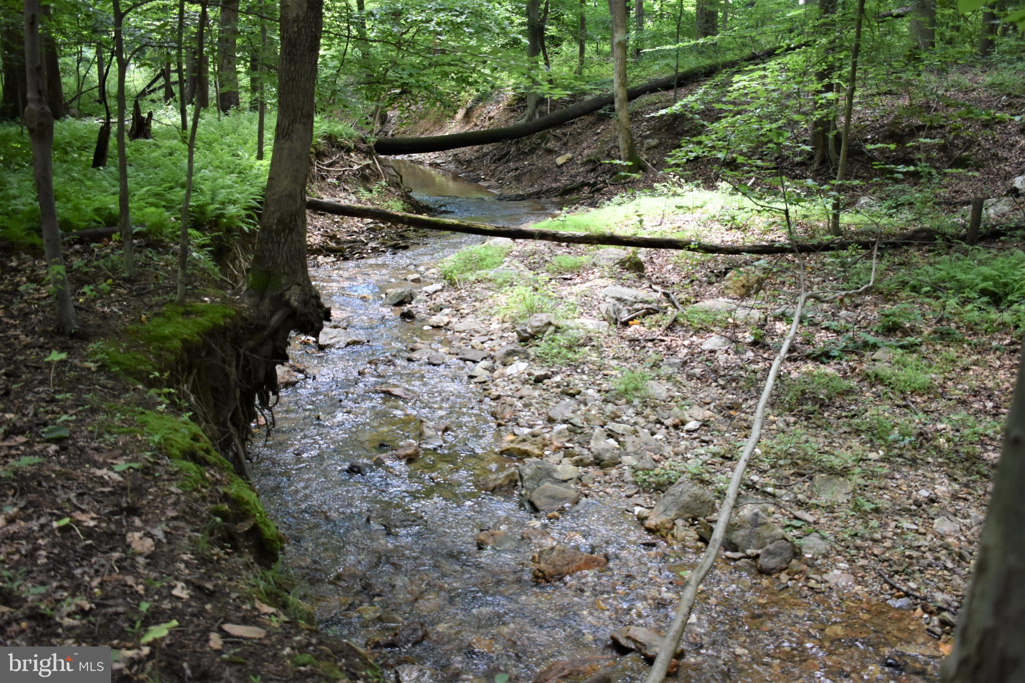 Gold Mine Road Frederick, MD 21703 - Photo 6 of 20 Creek curves through the side & rear of property