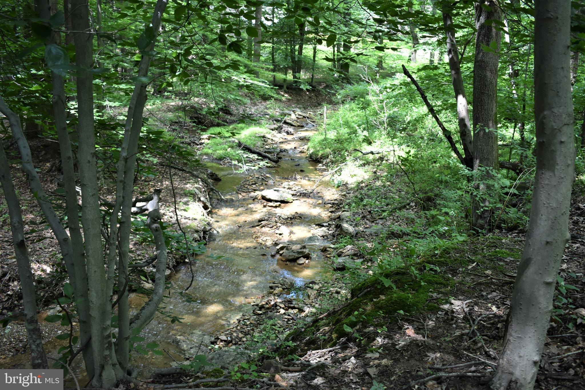 Gold Mine Road Frederick, MD 21703 - Photo 9 of 20 Beautiful 5 Acre Remote Setting