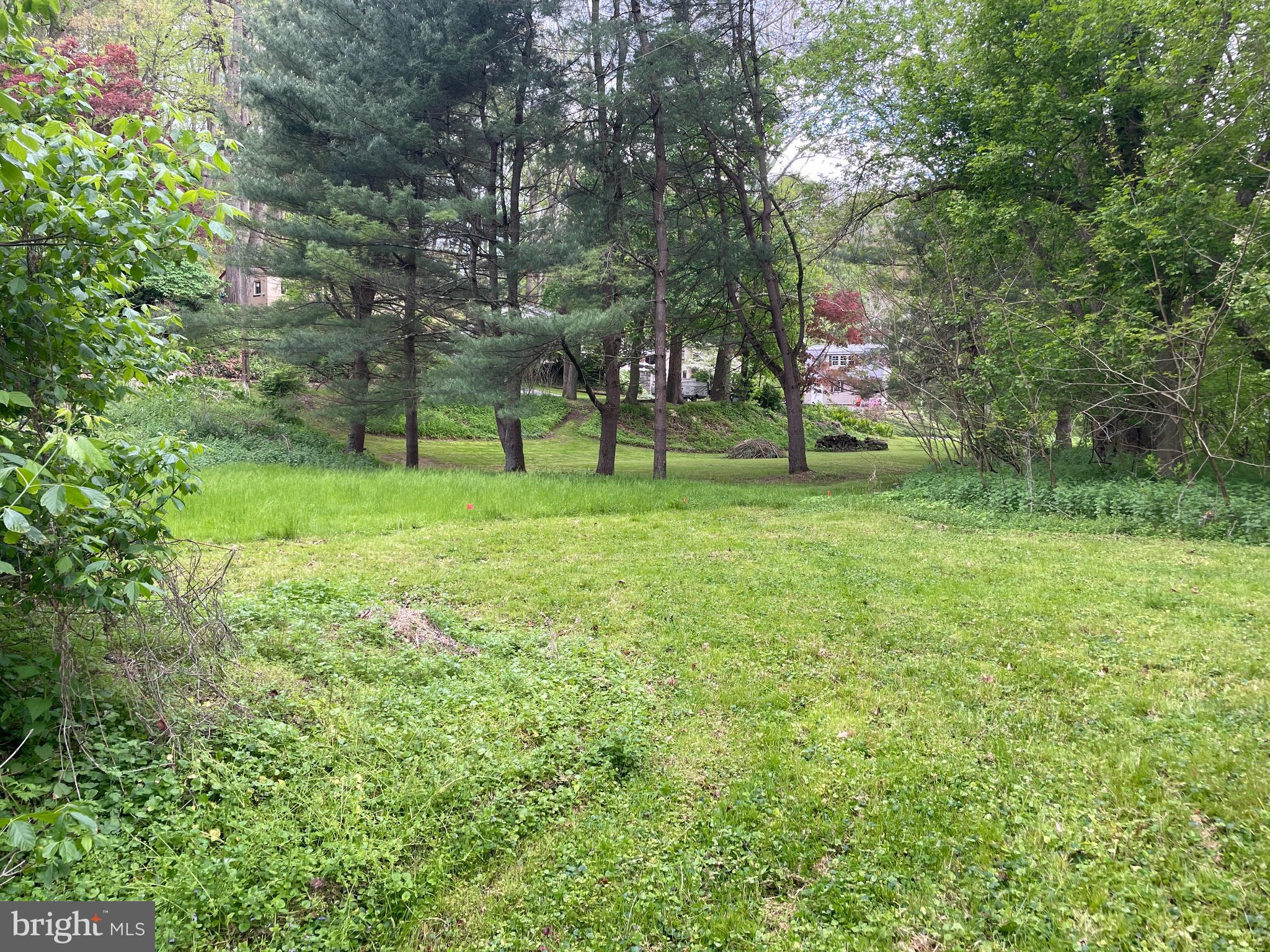 0 River Road Pequea, PA 17565 - Photo 24 of 28 a green field with lots of trees