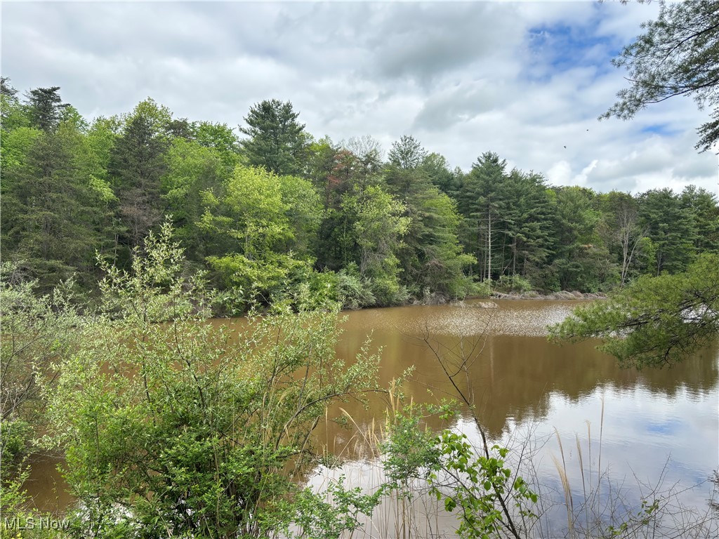 212 Rost Road Walker, WV 26180 - Photo 16 of 29 Water view with a heavily wooded area