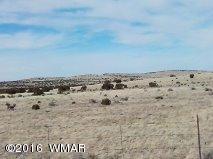23 T13n R26e Concho, AZ 85924 - Photo 2 of 3