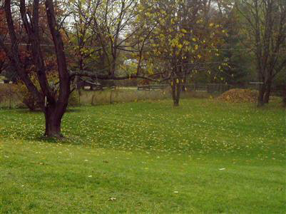 12329 White Lake Road Fenton, MI 48430 - Photo 5 of 13 20260437-4.JPG