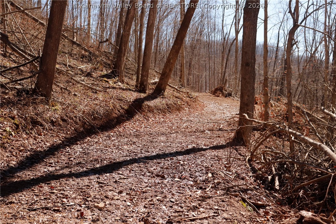 0 Straight Creek Road Walton, WV 25286 - Photo 36 of 47 Gallery Image 36