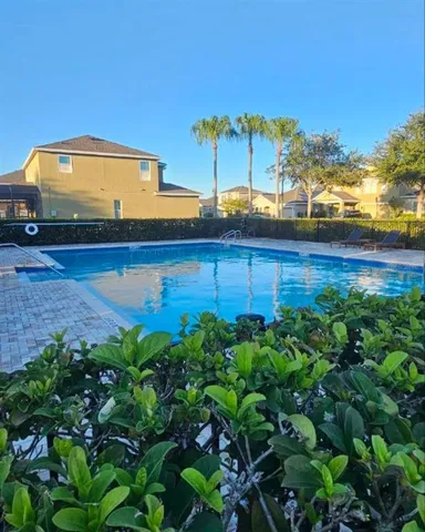 a view of a backyard with plants
