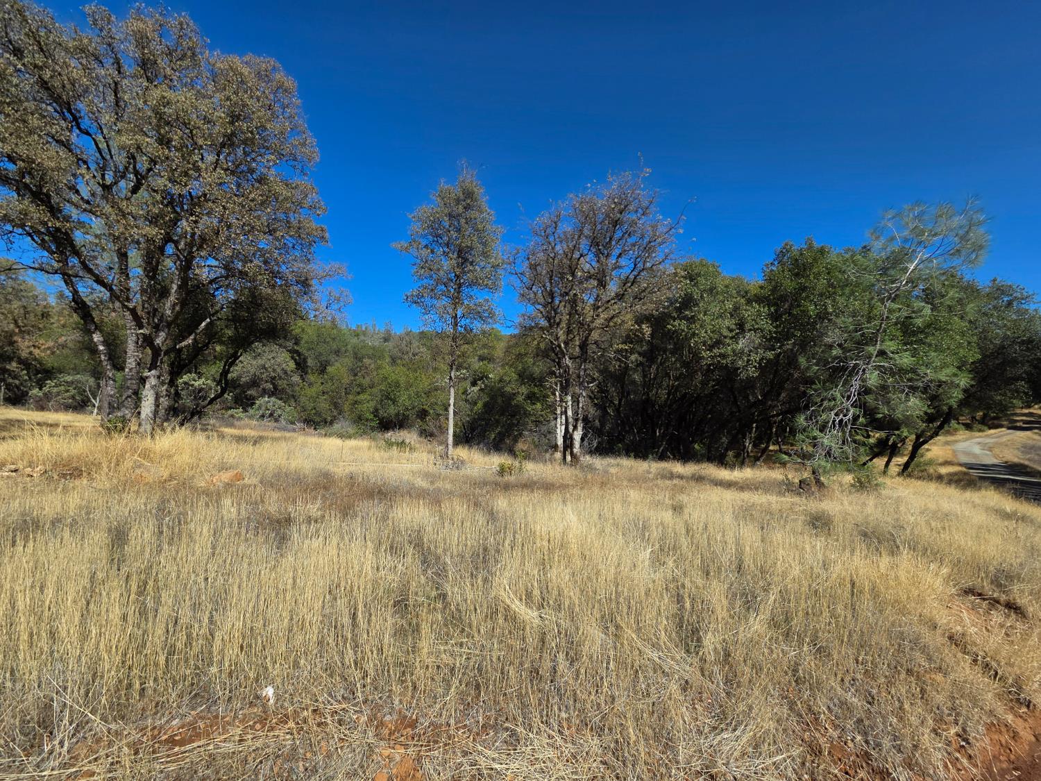 11465 Rex Reservoir Road Penn Valley, CA 95946 - Photo 1 of 18 a view of a yard covered in snow
