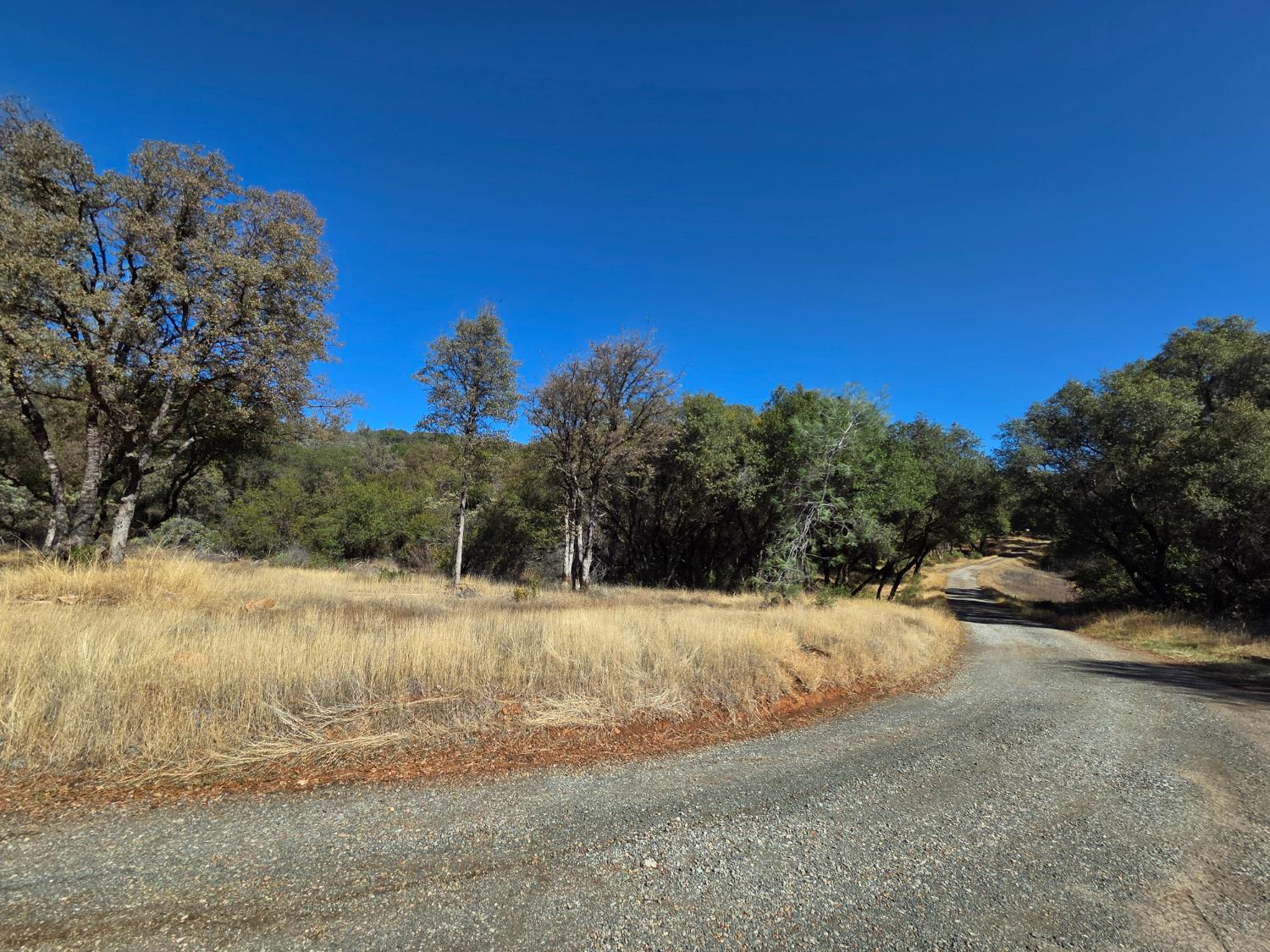 11465 Rex Reservoir Road Penn Valley, CA 95946 - Photo 3 of 18 a view of a yard with a tree