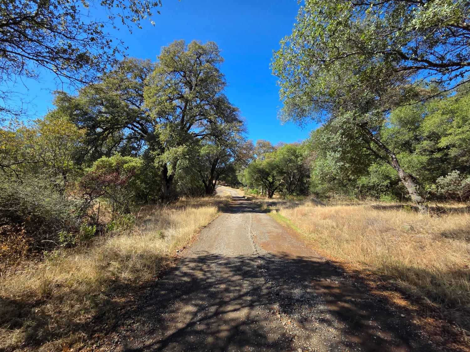 11465 Rex Reservoir Road Penn Valley, CA 95946 - Photo 5 of 18