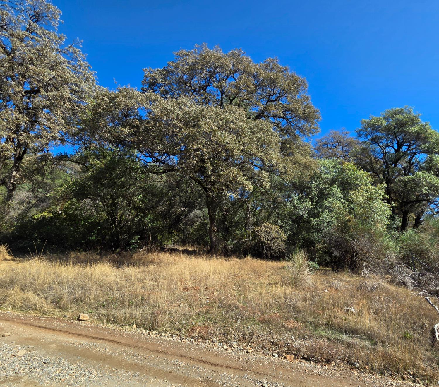 11465 Rex Reservoir Road Penn Valley, CA 95946 - Photo 6 of 18 a view of a yard