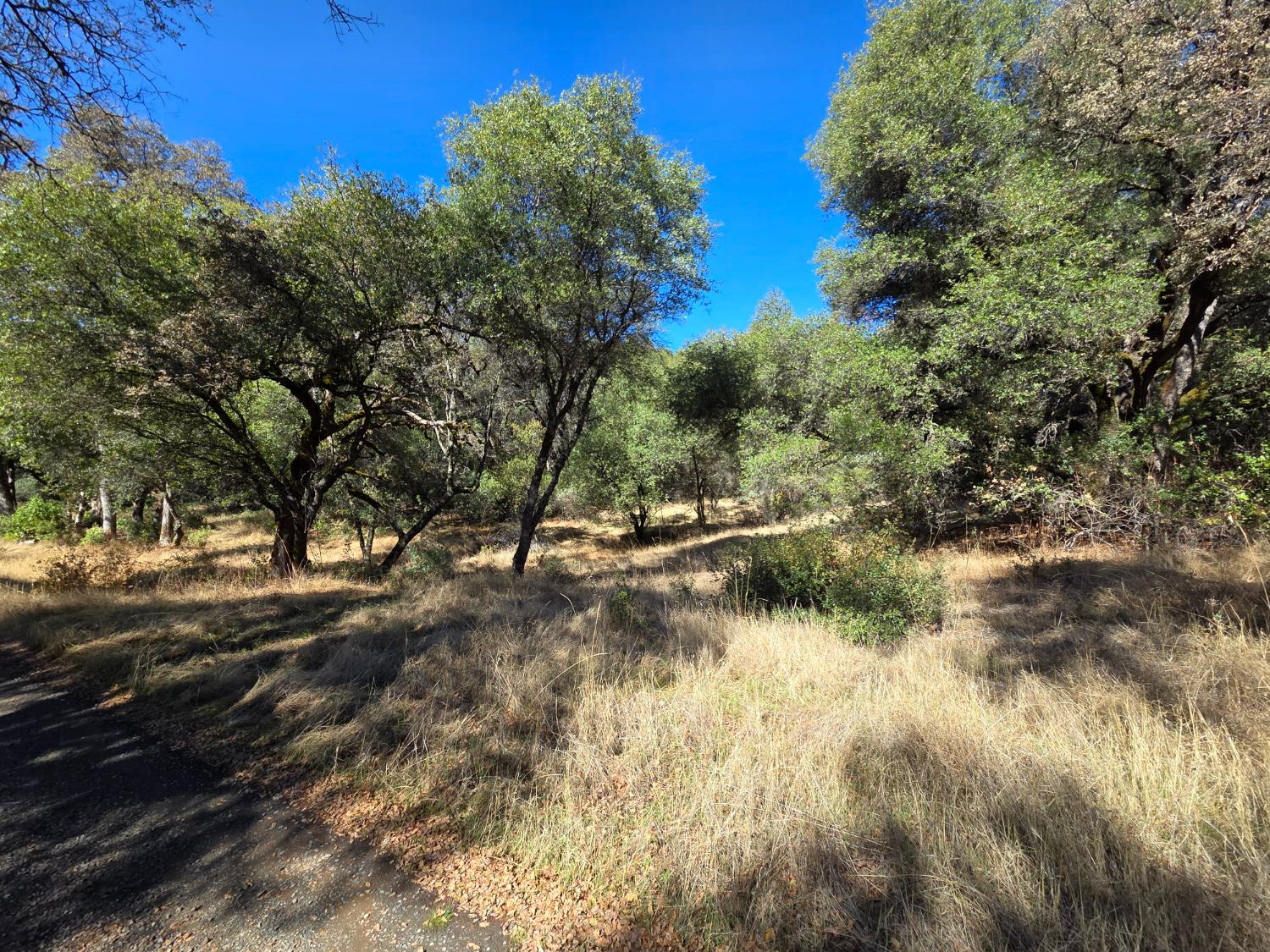 11465 Rex Reservoir Road Penn Valley, CA 95946 - Photo 7 of 18 a view of a lake view
