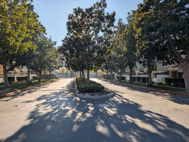 a park view with large trees