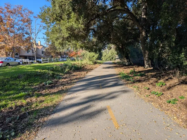 a view of a yard with an tree